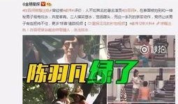爆料河北密访视频大全最新,独家视频大全深度解析
