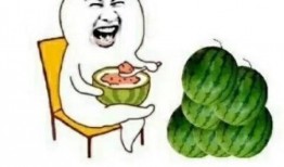 大娱乐吃瓜,大娱乐吃瓜，揭秘明星幕后故事