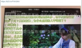 爆料河北密访视频大全最新,独家视频大全深度解析