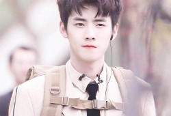 关于任豪的爆料视频大全,揭秘明星背后的真实故事