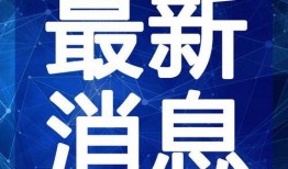 食品小哥爆料视频大全最新,最新视频大全深度解析