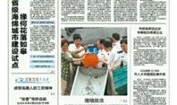 南通爆料拆违公告最新,重拳出击，还城市整洁面貌