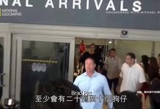 独家新闻怎么爆料