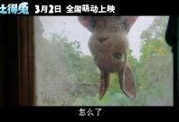 你追我赶电影在线观看,我追你赶，速度与激情的巅峰对决