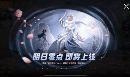 央视爆料新皮肤视频大全,新皮肤视频大全，视觉盛宴来袭！