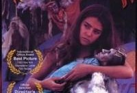 火天使电影在线观看,燃烧激情，在线观影之旅