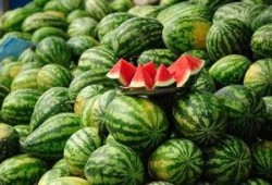 阳江网红吃瓜事件真相,揭秘背后真相与网络舆论的反思